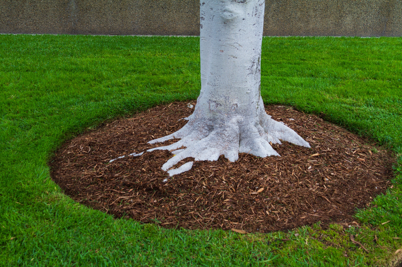 Mulch Installation - New Jersey