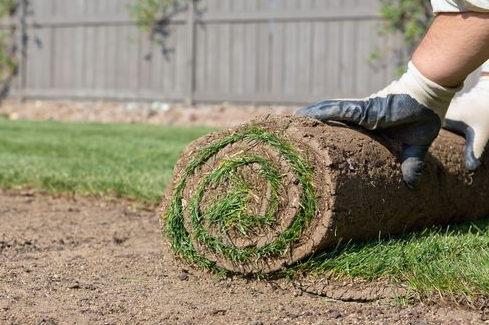 Sod Installation - Red Bank NJ